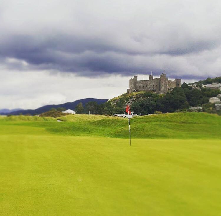 Royal St. Davids Golf Club review Played by NCG