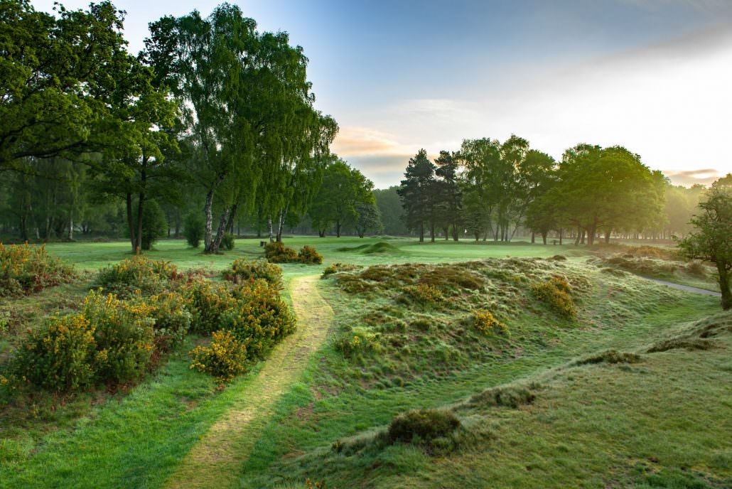 Berkhamsted Golf Club The club with a rare claim to fame National
