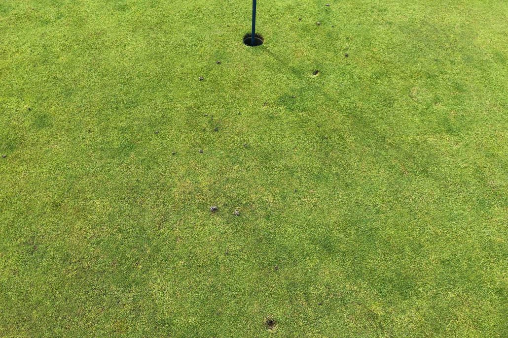 pitch marks3 National Club Golfer