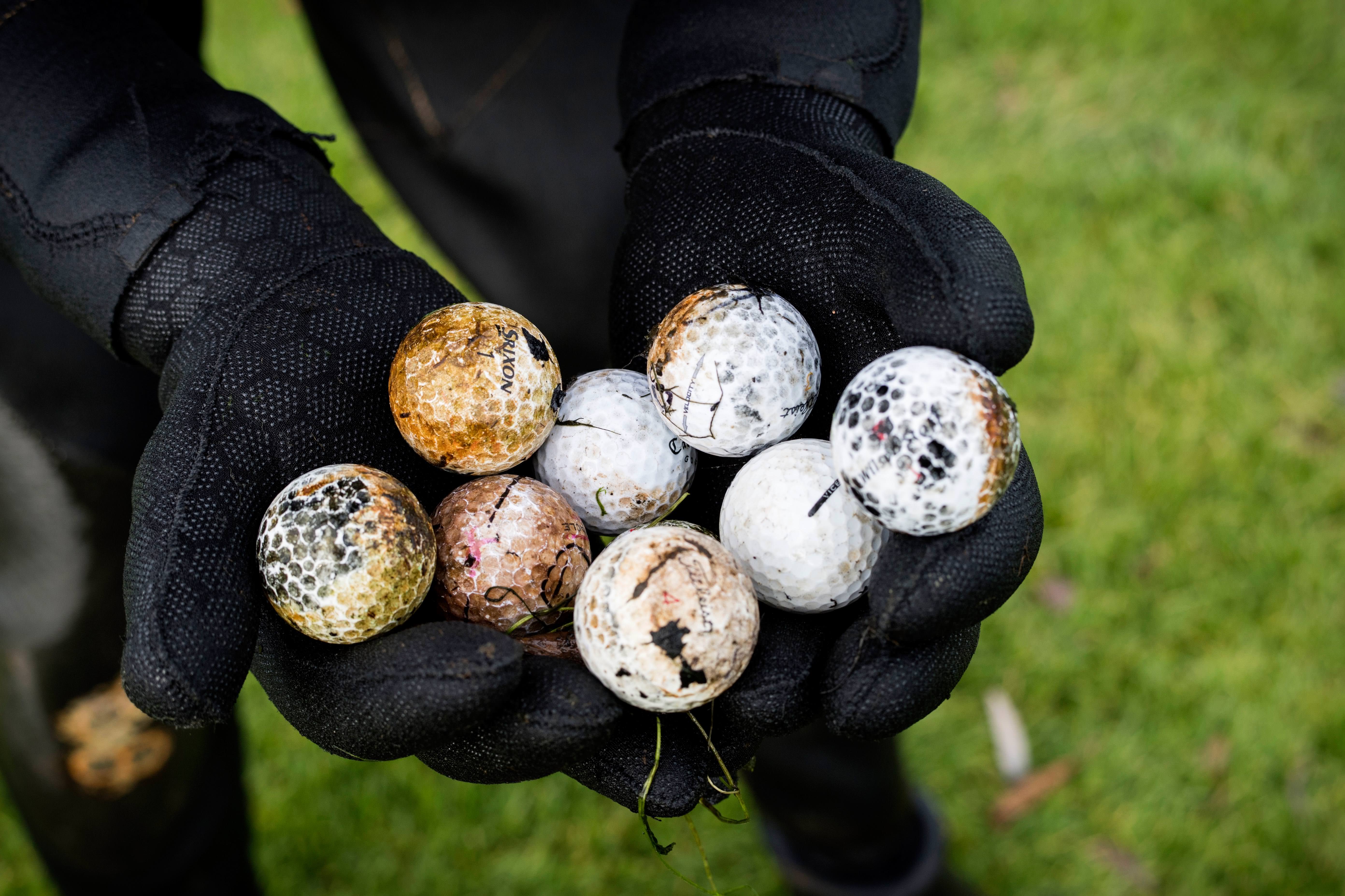 a-golf-ball-diver-earns-his-living-national-club-golfer