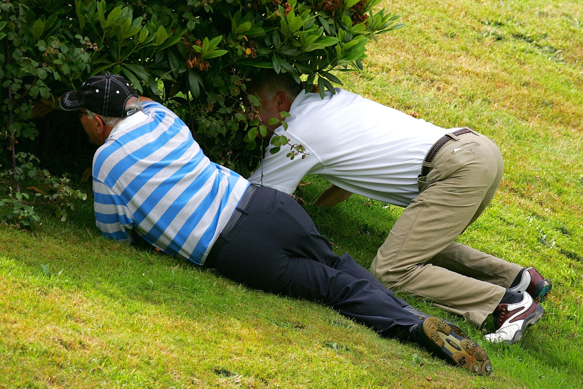 Rules of Golf Explained Ball in an unplayable lie National Club Golfer