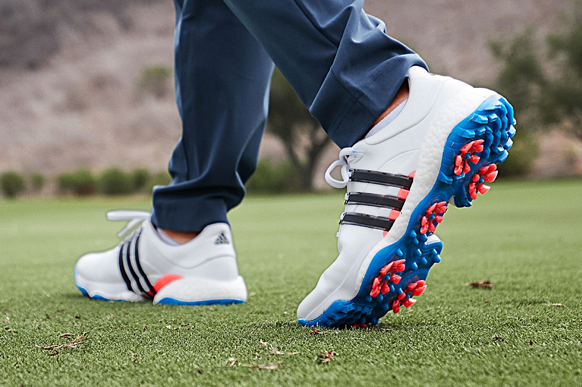 Adidas Tour 360 Golf Shoes 22 Review Everything You Need To Know Adidas Tour 360 Golf Shoes 22 Review Everything You Need To Know