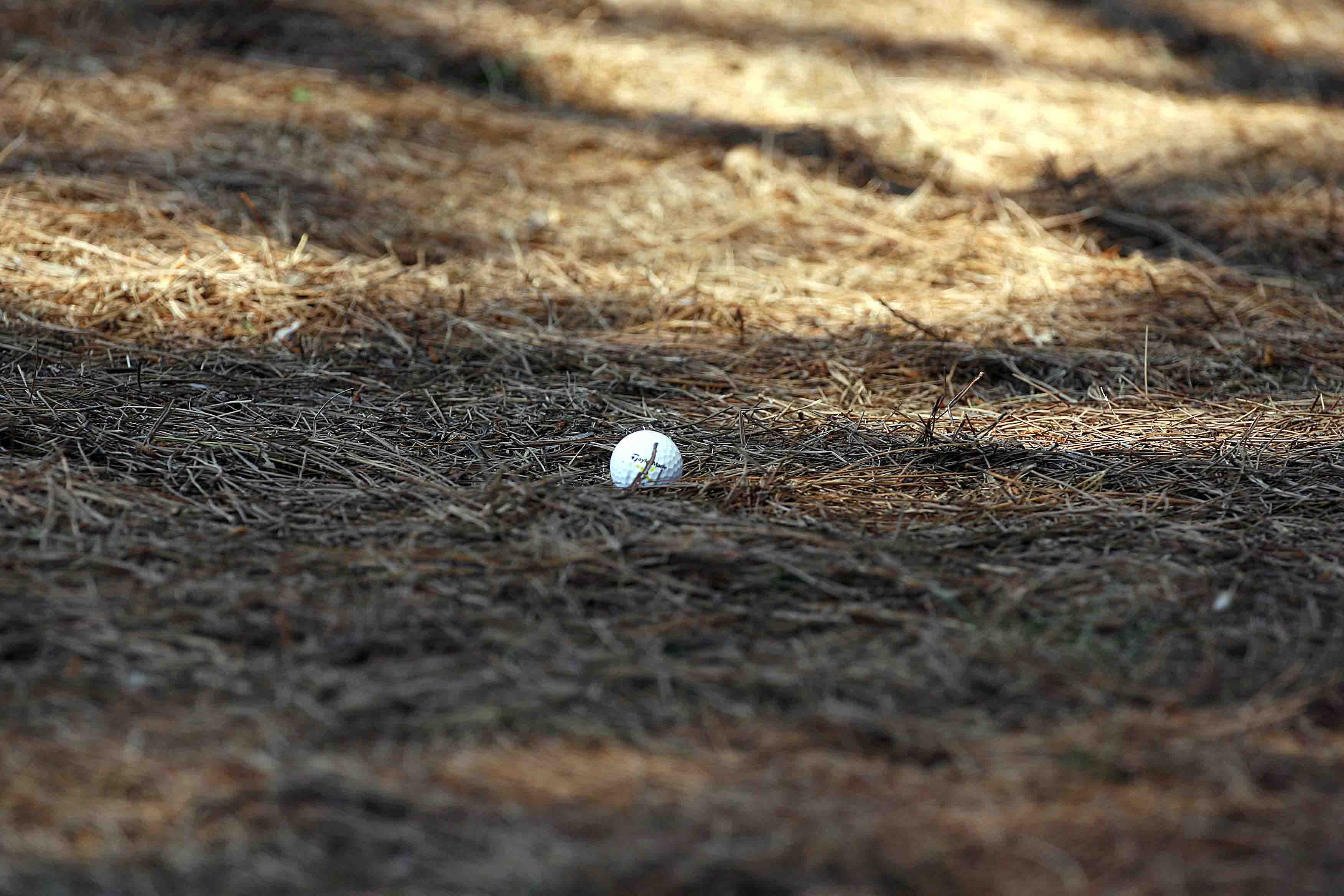 Loose impediments rules in golf Here's everything you need to know