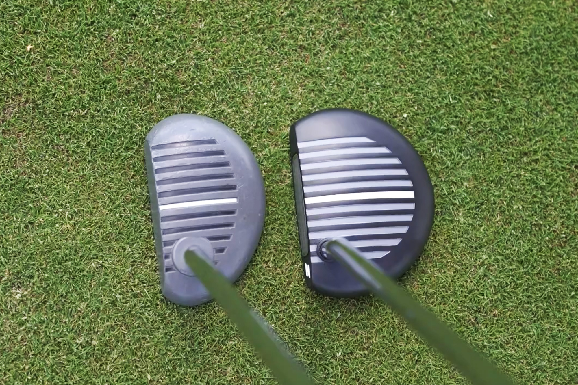 zebra z 41 putter