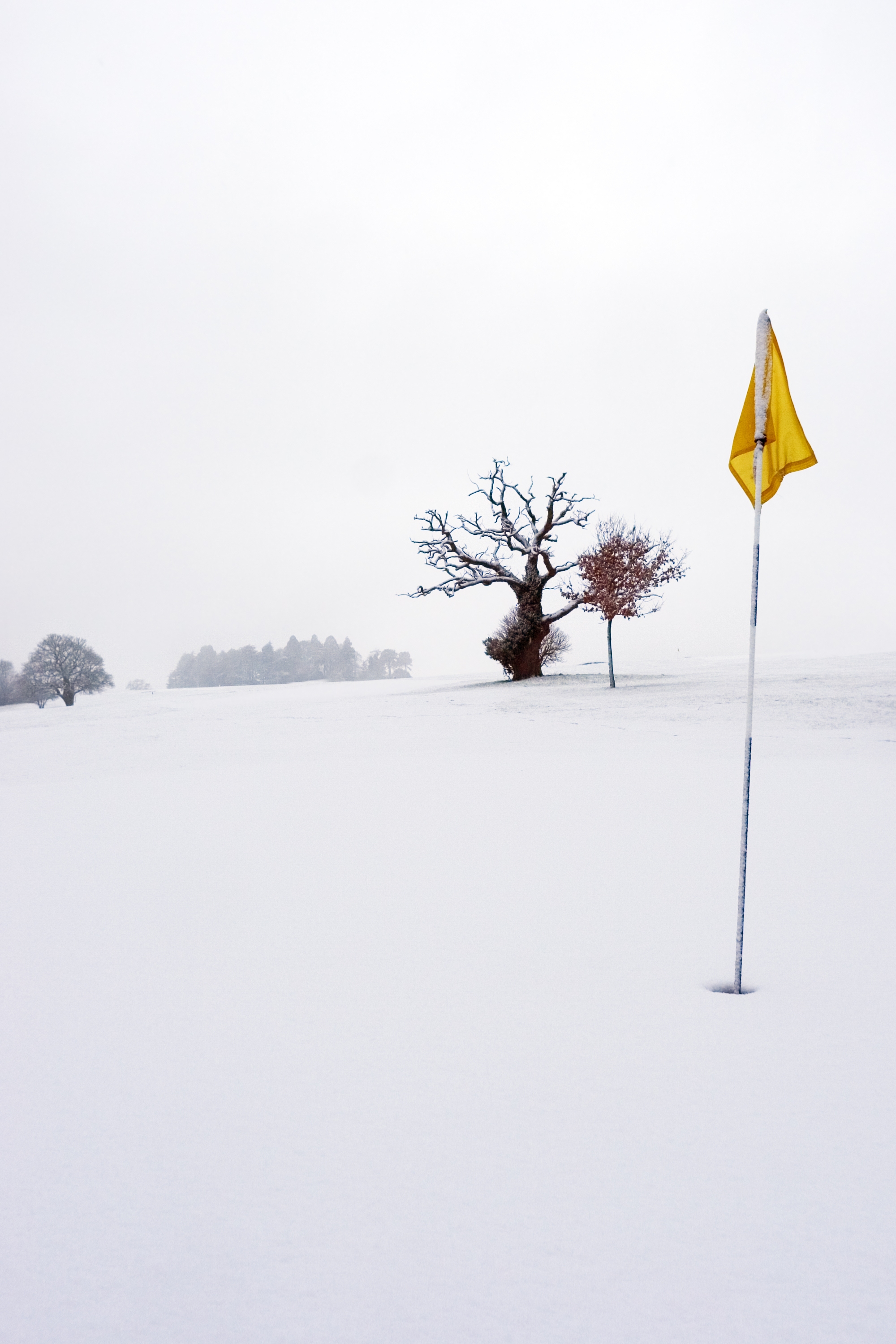 winter qualifiers