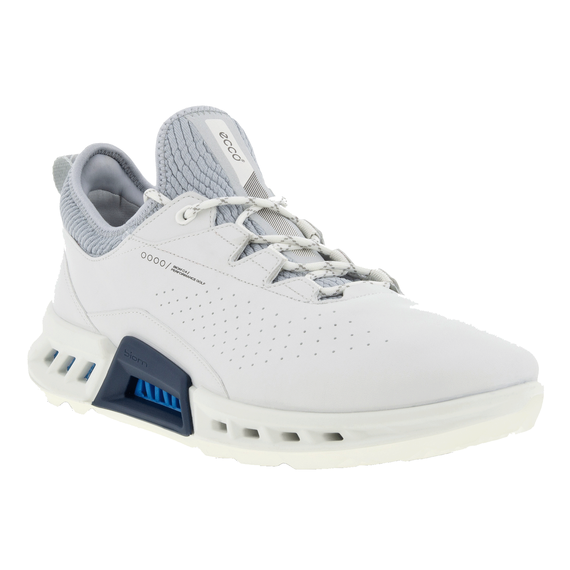 ecco biom hike gtx