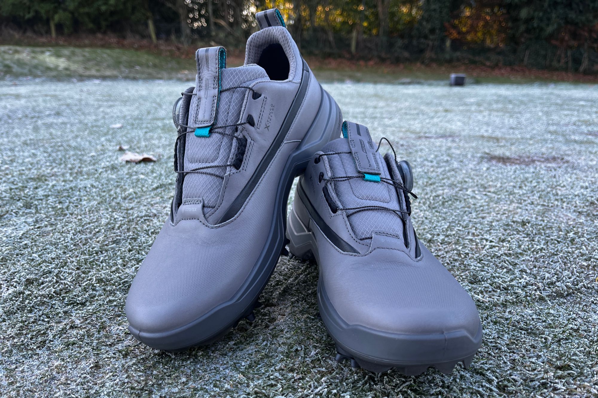 Best Waterproof Golf Shoes 2023 Andre Leyh